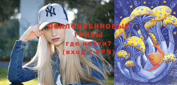 mix Белокуриха