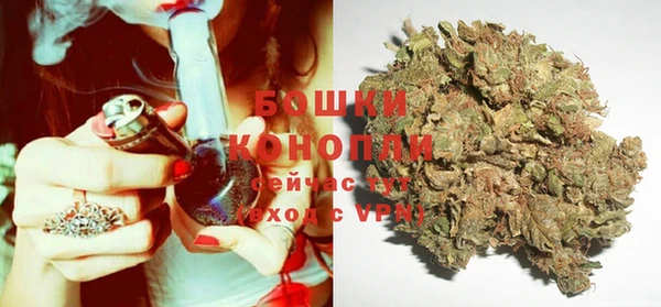 mix Белокуриха